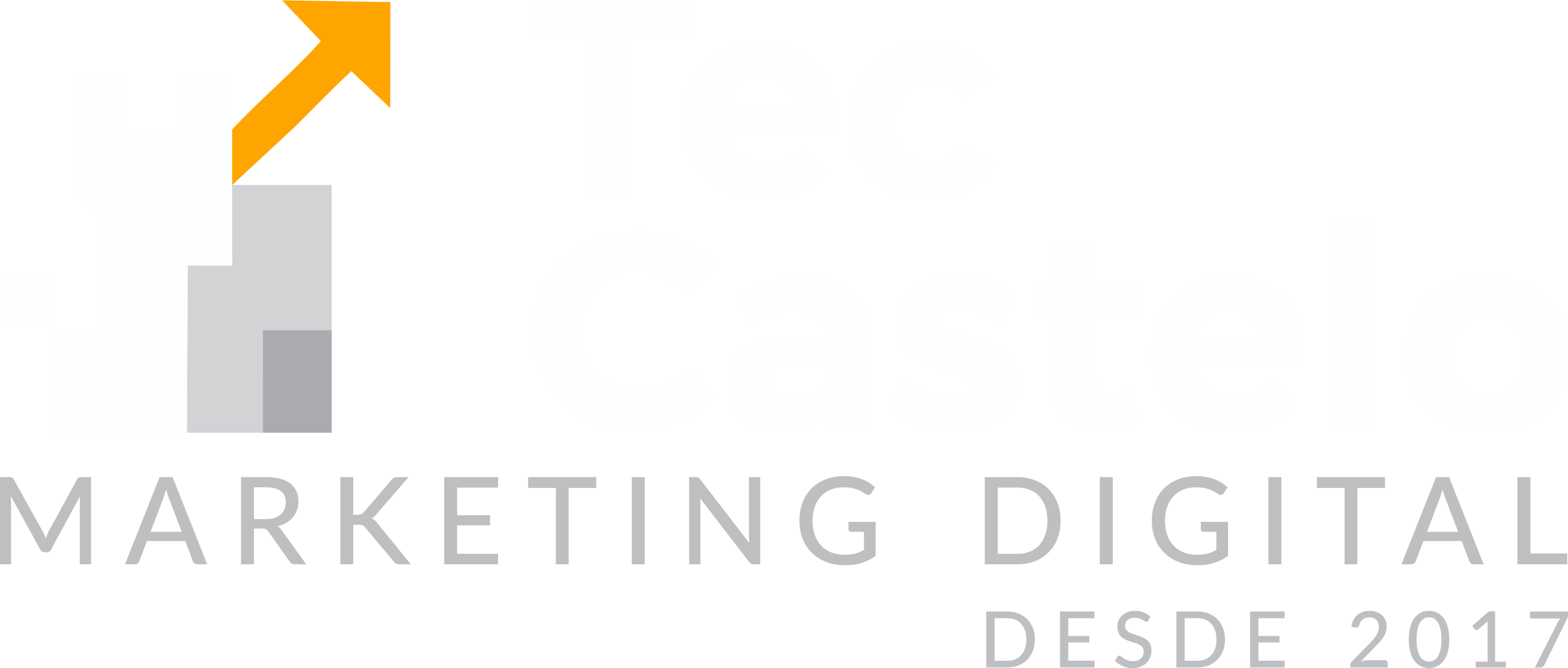 Tec Castelo Marketing Digital